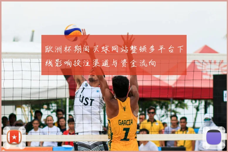 欧洲杯期间买球网站整顿多平台下线影响投注渠道与资金流向
