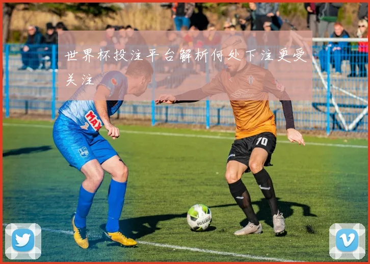 世界杯投注平台解析何处下注更受关注