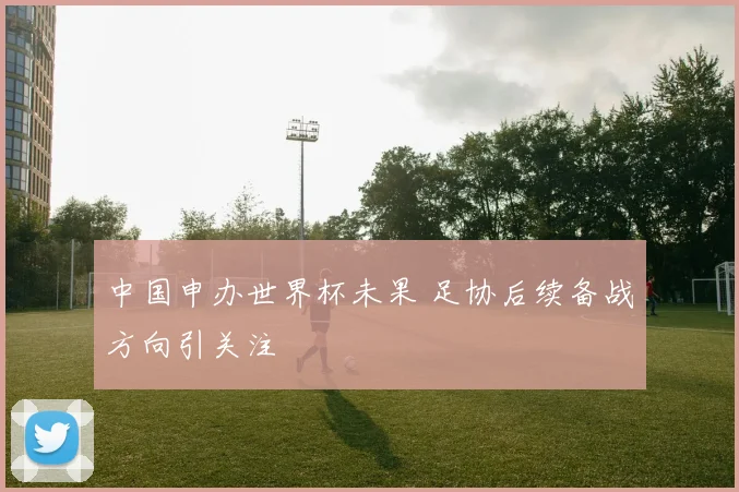 中国申办世界杯未果 足协后续备战方向引关注